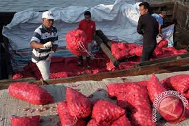 Polres Bengkalis Gagalkan Penyelundupan Bawang Merah