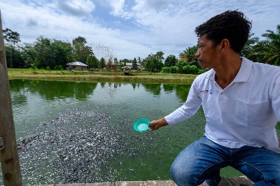 Geliat Ekonomi Masyarakat Binaan PHR di Kampung Patin yang Tembus Pasar Internasional