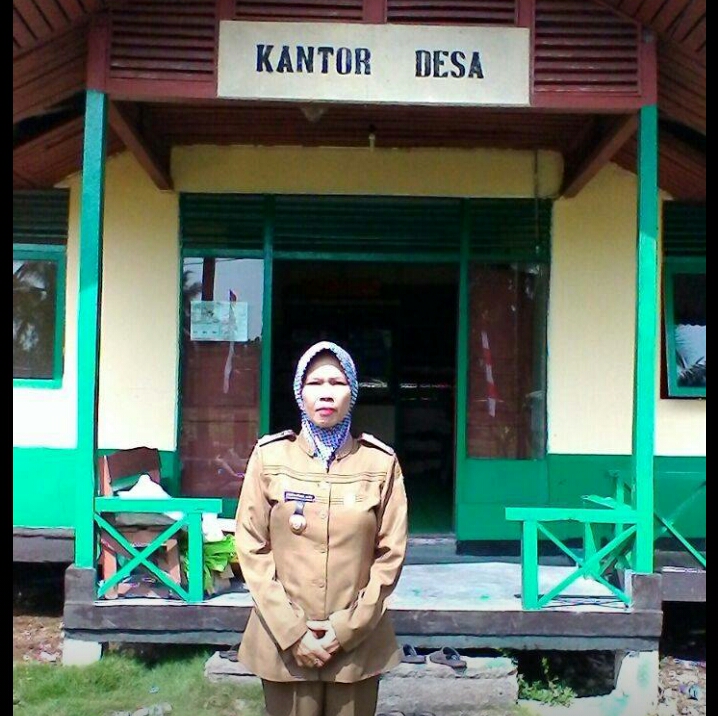 Ini Rincian Sumber Anggaran Desa Mayang Sari Jaya