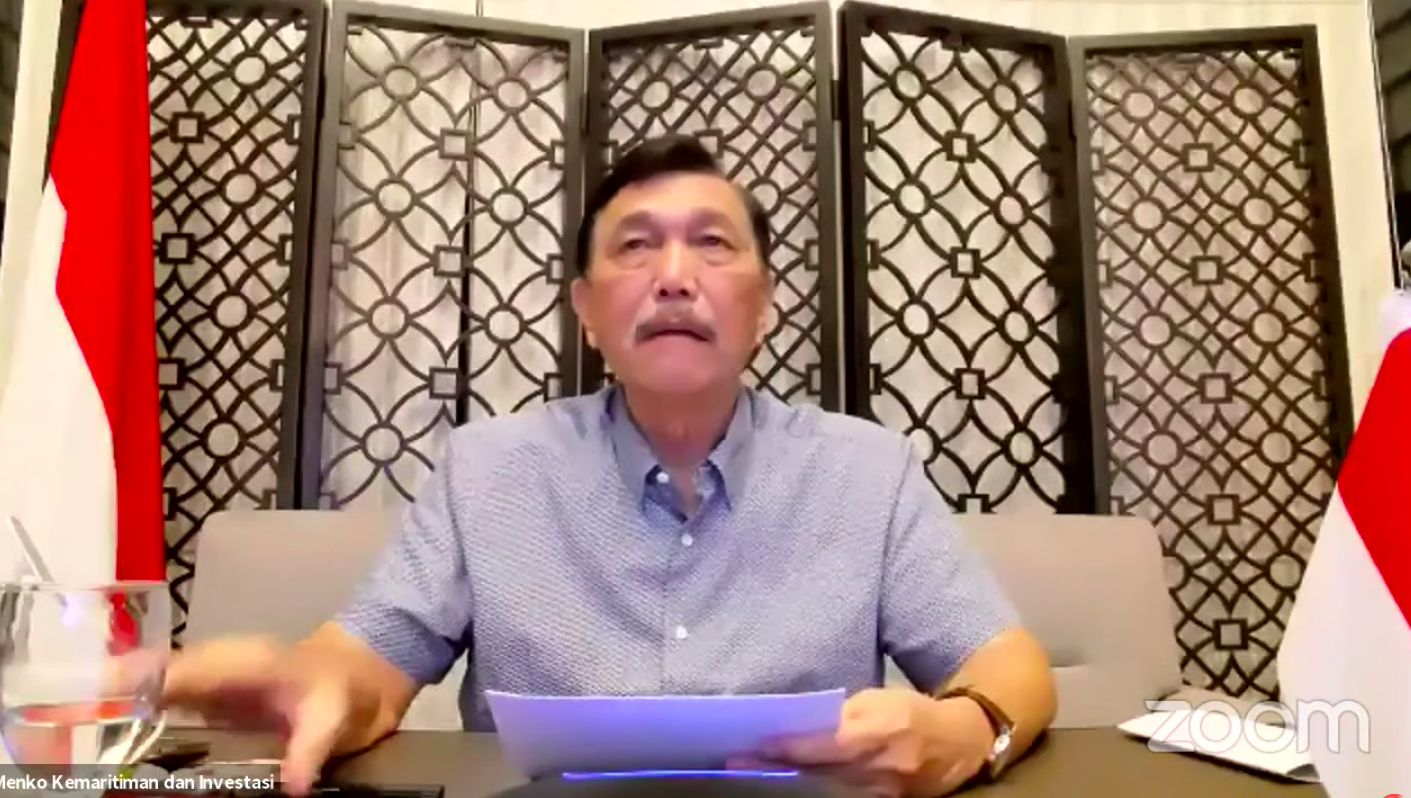 Mobilitas Menurun saat PPKM, Luhut: Perlu Konsistensi untuk Melandaikan Kurva Pandemi