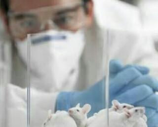 Peniliti Kaget, Hewan Ini Tetap Hidup saat Kekurangan Udara