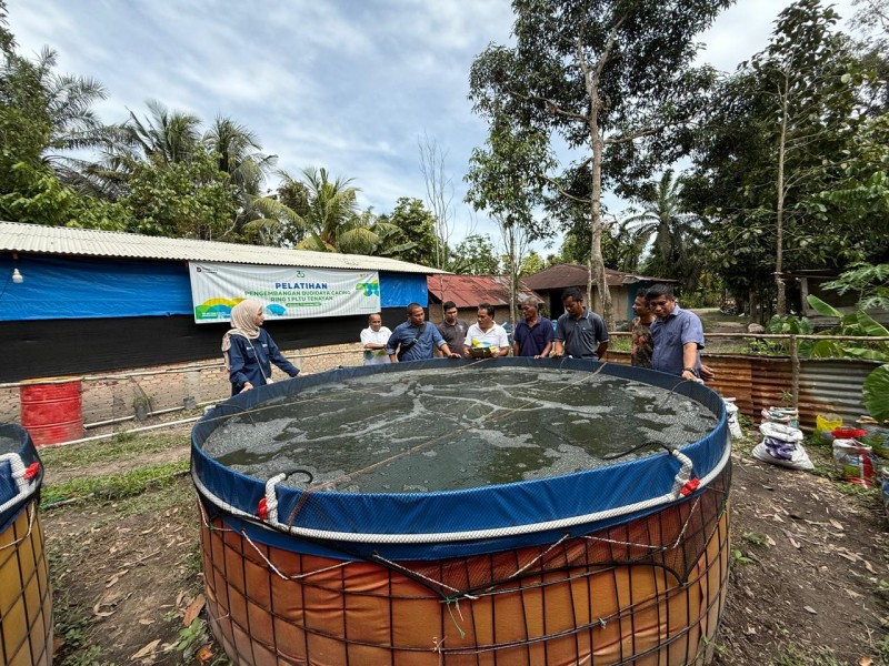 Pemberdayaan Ekonomi di Kelurahan Tebing Tinggi Okura, PLN NP UP Tenayan Laksanakan  Program Budidaya Ikan Sistem Bioflok