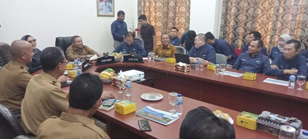 Hasil Lobi Gubri Wahid ke Jakarta, Riau Dapat Proyek Listrik Bawah Laut dari PLN