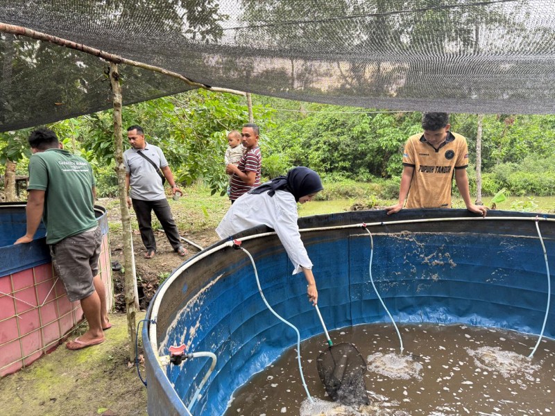 Kembangkan Budidaya Ikan Sistem Bioflok dan Pengembangan Cacing Tanah, PLN NP UP Tenayan Kolaborasi dengan Pemuda Okura