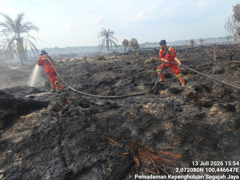 2 Hektare Lahan Gambut di Rohil Terbakar, Tim Manggala Agni Lanjutkan Pendinginan dan Cek Titik Api Baru