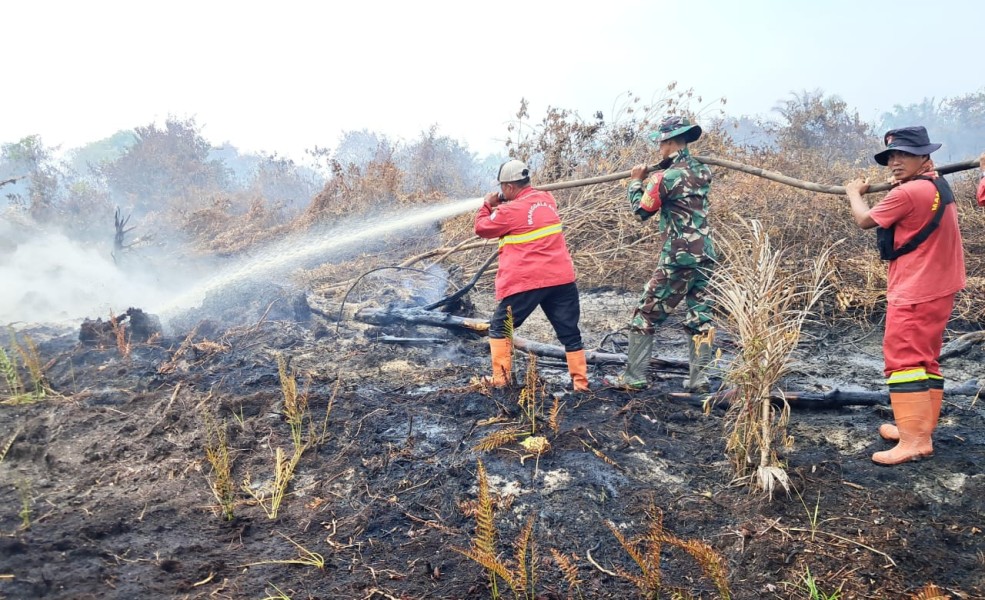 Hotspot di Riau Melonjak Tajam Jadi 158 Titik, Bengkalis Tertinggi Pekanbaru Nihil