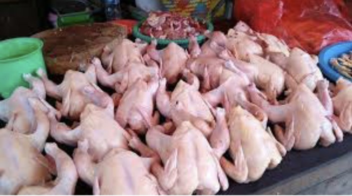 Mendadak Harga Ayam Potong Melonjak Sampai Rp 39 Ribu/Kg, Ini Penyebabnya Kata Peternak