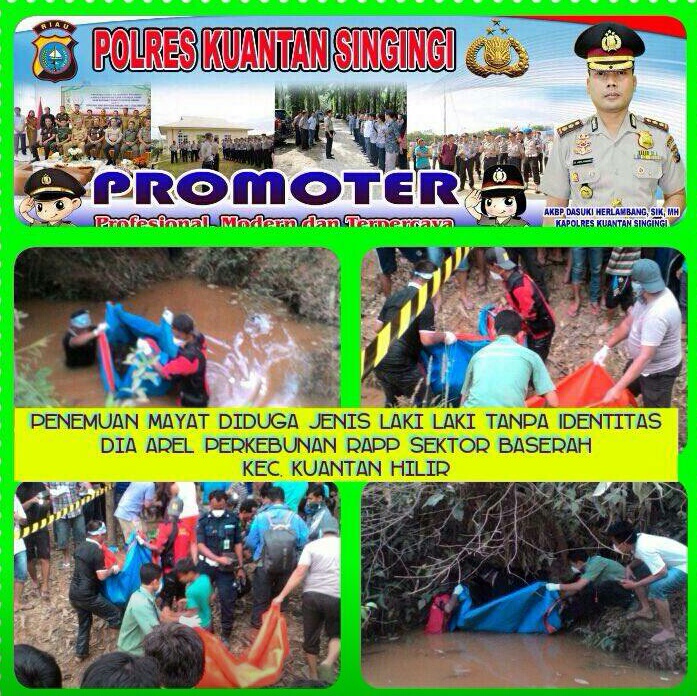 Mayat Tanpa Identitas Ditemukan Dalam Gorong-Gorong Di Areal PT RAPP 