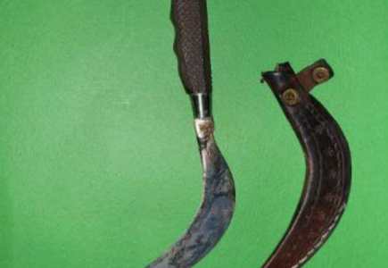 Dua Pria Dewasa di Inhu Jadi Korban Kebrutalan di RTH, Ternyata Pelaku Pengeroyokan Masih Dibawa Umur