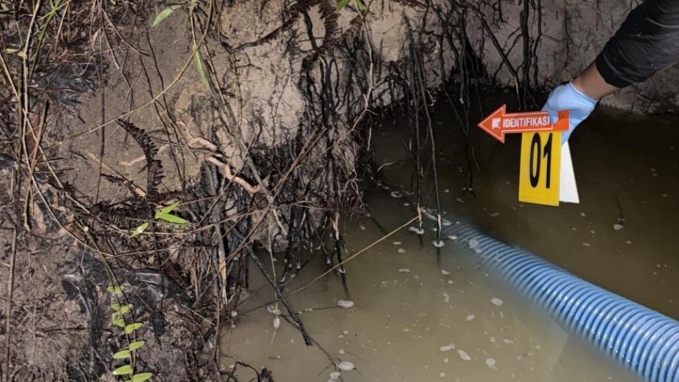 Aktivitas PETI di Kuansing Kembali Makan Korban, Polisi Kantongi Identitas Pemodal