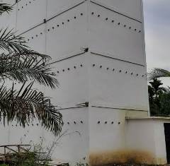 Bangunan Penangkaran Diduga Tanpa IMB, Suara Kaset Burung Walet Resahkan Warga