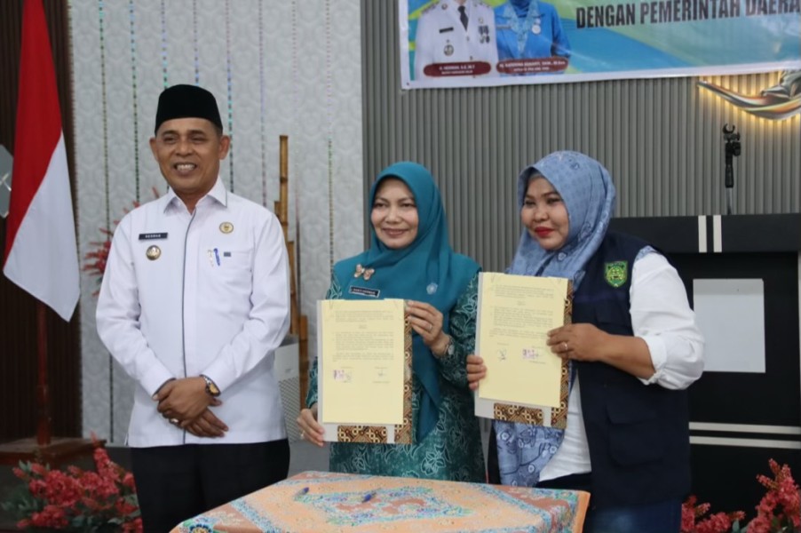 Kukuhkan Pengurus Emak Sehat se-Inhil, Bupati Herman Apresiasi Pelayanan Posyandu