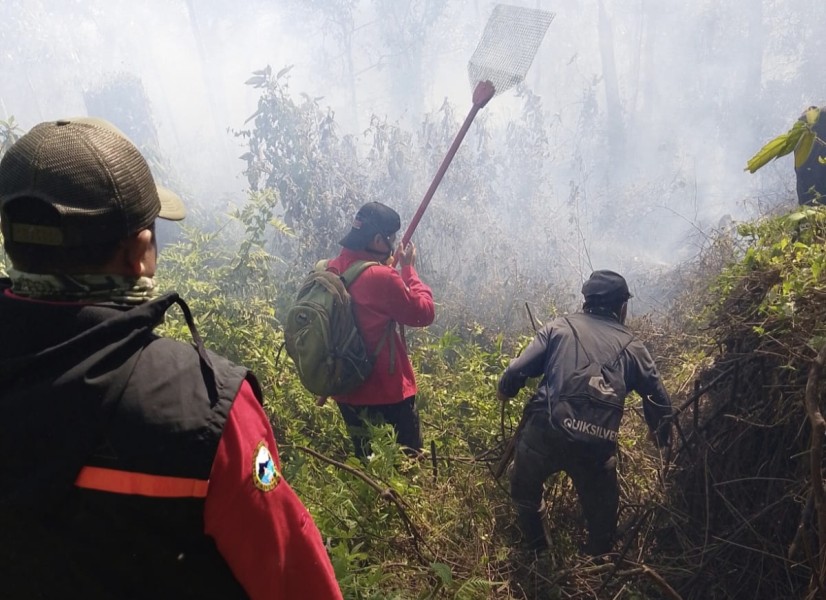 Kebakaran Rinjani Meluas ke Puncak Sangkareang, 723,7 Hektare Hangus