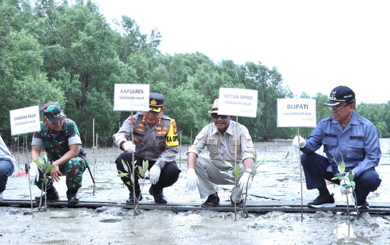 Bupati Inhil Lakukan Penanaman Bibit Mangrove di Pantai Terumbu Mabloe