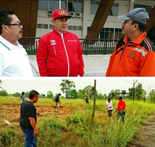 Peringati HUT PWI ke-72 dan HPN 2018 Besok, PWI Riau Tanam 500 Bibit Pohon di Stadion Utama