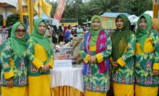 Minim Prestasi di Harganas Riau 2018, Zulaikhah Nyatakan Inhil Harus Lakukan Evaluasi