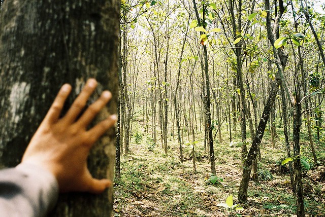 Seorang Warga Rangsang Kepulauan Meranti Hilang Usai Lari Masuk Hutan