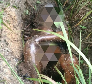 Geger! Warga Temukan Mayat Tanpa Identitas Dipenuhi Belatung Tergeletak di Pinggir Jalan