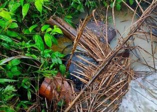 Sesosok Mayat Ditemukan dalam Kolam di Tualang Siak, Apakah itu si Abang Rental?