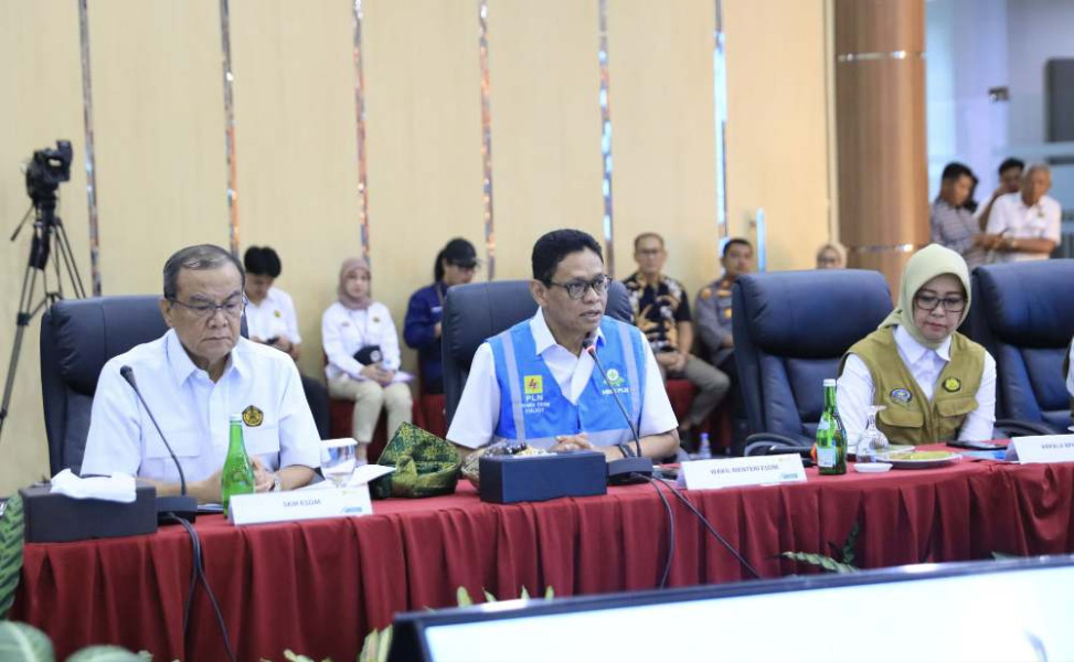Pastikan Pelayanan PLN Handal Selama Nataru 2024/2025 di Riau, Wamen ESDM Tinjau Kesiapan Pasokan Listrik