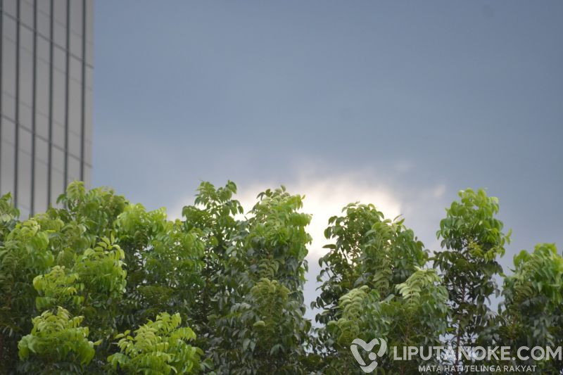 Hujan Ringan hingga Sedang Berpeluang Guyur Kota Besar, BMKG Prediksi Pekanbaru Berkabut