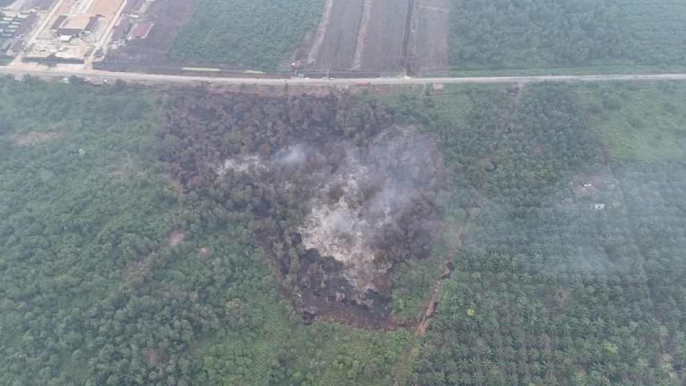Polda Riau Usut 55 Kasus Karhutla, Luas Lahan Terbakar Tembus 3.378 Hektare