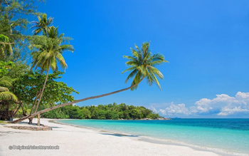 Heboh 100 Pulau Mau Dijual, Mendagri Tito Malah Bilang Begini