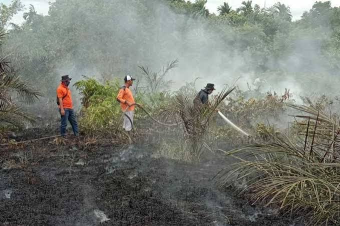 Karhutla Terus Membara di Riau, Terbanyak Kedua Setelah Sumsel di Sumatera