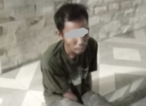 Polres Pelalawan Tangkap Pelaku Pencurian Sawit, 110 Tandan Dijadikan Barang Bukti