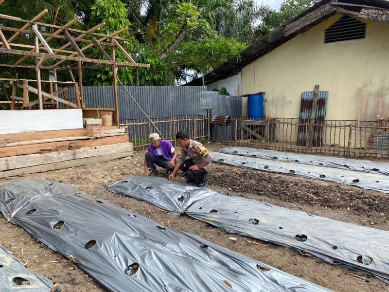 Polsek Cerenti Dukung Program Asta Cita dengan Persiapan Penanaman Cabai di Lahan Percontohan
