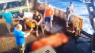 14 ABK Diduga Korban Perbudakan Tiba di Indonesia, Tim Kuasa Hukum Beberkan Fakta & Kronologi