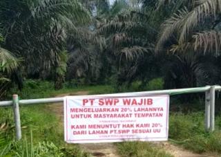 Spanduk Berisi Tuntutan Keluarkan Lahan 20 Persen Bertebaran di Areal Kebun Milik PT SWP 