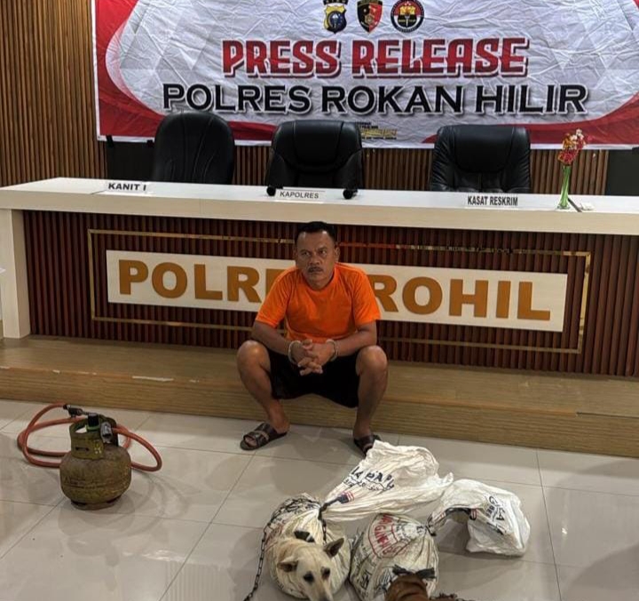 Jual Daging Anjing di Rumah Makan, Pria di Rohil Diringkus Polisi