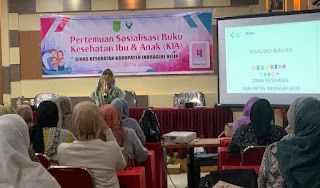 Dinkes Inhil Gelar Sosialisasi Buku KIA