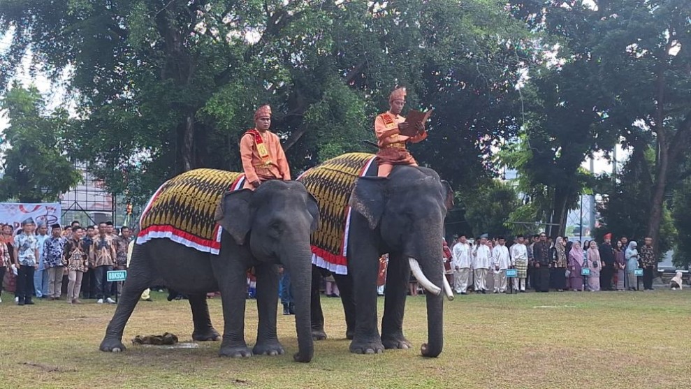 Simbol Harmoni Manusia dan Alam, Dua Gajah Sumatera Tampil Memukau di Upacara HUT RI