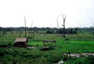 Sudah 45 Tahun Lahan Kosong Pertamina RU II Terbengkalai