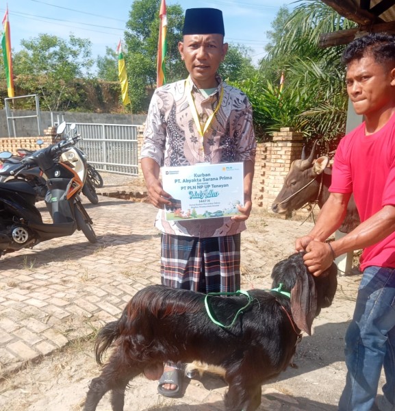 Memperkokoh Sinergi di Momen Idul Adha, PLN NP UP Tenayan Salurkan 22 Ekor Hewan Kurban untuk Warga Ring 1