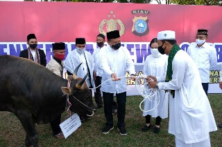Distribusikan ke Mesjid, Polda Riau Berikan 249 Ekor Hewan Kurban Secara Simbolis