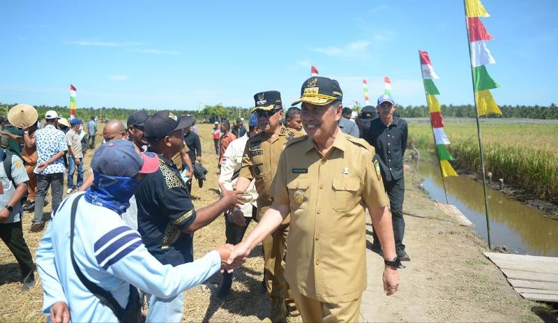 Panen Raya di Desa Kedabu Rapat, Gubri Syamsuar Serahkan Bantuan ke Petani dan Pemkab