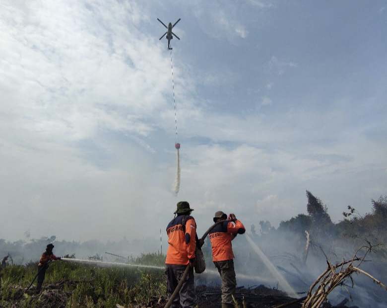 Selama Maret 2024,  Polda Riau Amankan 4 Pelaku Karhutla