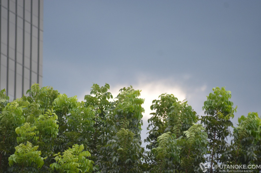 Suhu Udara di Riau Capai 33 Derajat, Berikut Pantauan Cuaca Riau Hari Ini