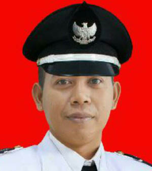 Ini Wacana Progres Pemdes Binangun Jaya Tahun 2017