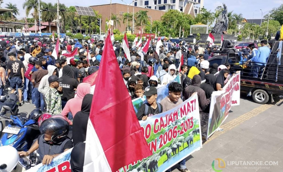 Aliansi Penyelamat Habitat Gajah Sumatera Gelar Aksi Dukung Satgas Tertibkan Hutan Lindung Tesso Nilo