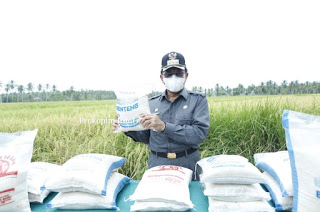 Bupati Inhil Sebut Benteng Salah Satu Daerah Penyumbang Kebutuhan Beras Riau