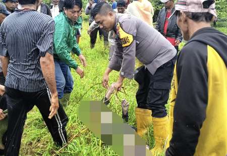 Warga Inhu Si Pengembala Sapi Ditemukan Tewas dalam Kanal PT Teso Indah