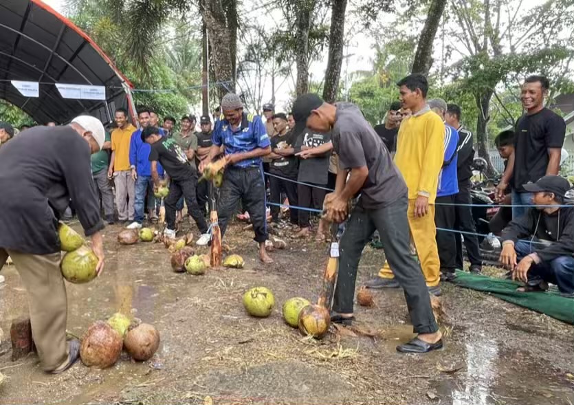 Lomba Menyolak Kelapa Meriahkan Perayaan Milad Inhil
