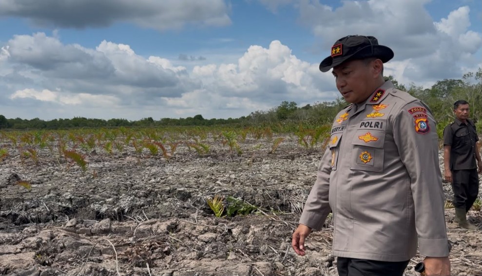 Kapolda Riau Tinjau Kerusakan Mangrove di Rohil, Dua Tersangka Diamankan