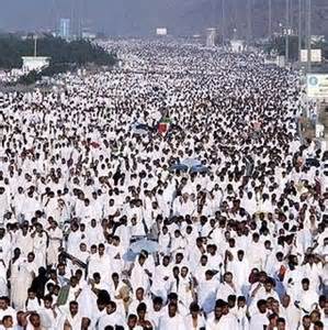 235 JCH Rohul Sandang Gelar 