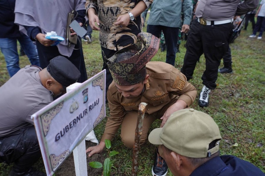 Jaga Kelestarian Alam, Sejumlah Tokoh Penting Hadiri Penanaman 10 Ribu Pohon di Dumai