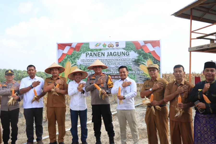 Dukung Swasembada Pangan, Kapolres Siak Hadiri Panen Jagung di Lahan PTPN Lubuk Dalam